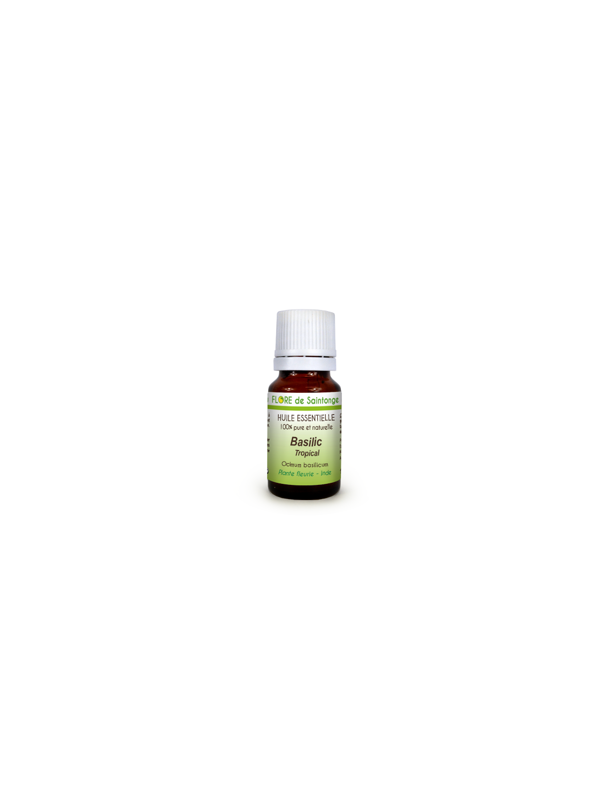 Huile essentielle Basilic tropical (Ocimum basilicum) - Flore de Saintonge