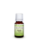 Huile essentielle Basilic tropical (Ocimum basilicum) - Flore de Saintonge