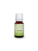Huile essentielle Canelle (Cinnamomum zeylanicum) - Flore de Saintonge