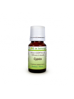 Huile essentielle Cypres (Cupressus sempervirens) - Flore de Saintonge