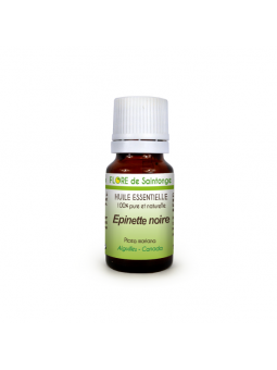 Huile essentielle Epinette noire (Picea mariana) - Flore de Saintonge
