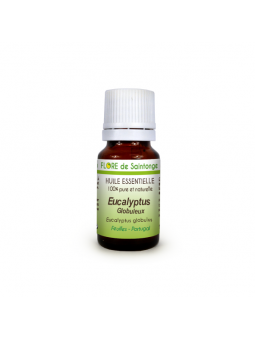 Huile essentielle Eucalyptus globuleux (Globulus) - Flore de Saintonge