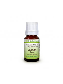 Huile essentielle Lavandin (Lavandula hybrida) - Flore de Saintonge