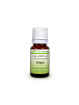 Huile essentielle Origan (Origanum compactum) - Flore de Saintonge