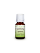 Huile essentielle Romarin (Rosmarinus officinalis) - Flore de Saintonge
