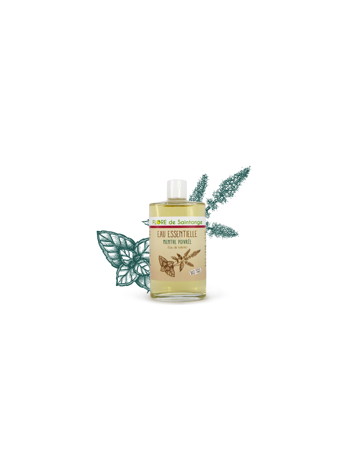 Eau de toilette menthe - Floire de Saintonge