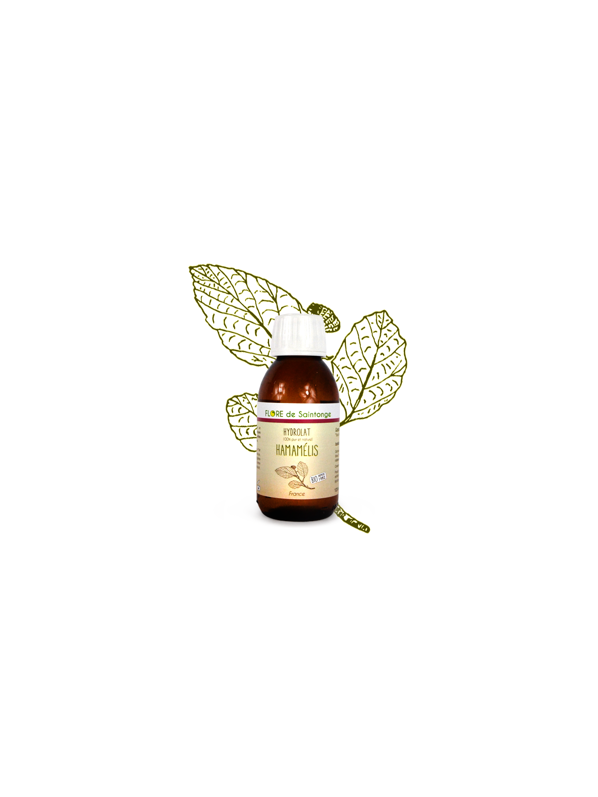 Eau florale hamamélis bio - Flore de Saintonge