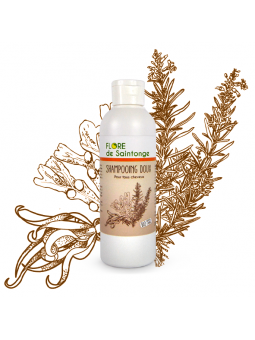 Shampooing doux bio - Flore de Saintonge