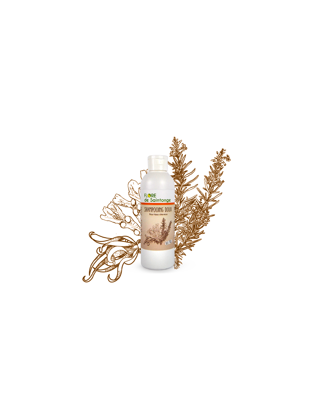 Shampooing doux bio - Flore de Saintonge